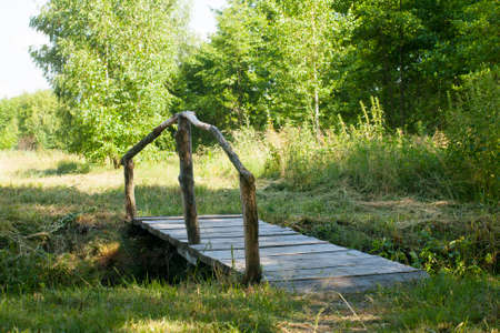 Wooden bridge over a stream in the forestの写真素材