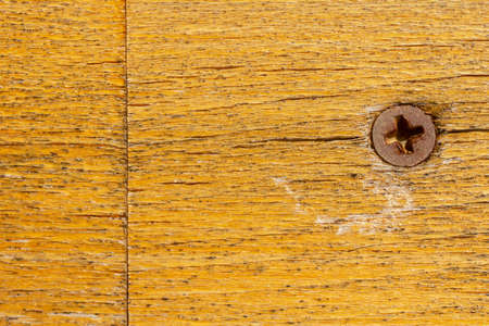 Wood texture with an old screw. Horizontal background.の写真素材