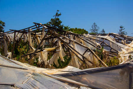 Destroyed greenhouses with bananas on the island of Crete in Greeceの写真素材