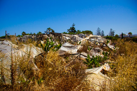 Destroyed greenhouses with bananas on the island of Crete in Greeceの写真素材