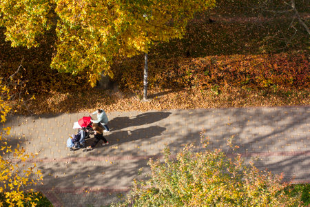 Two women with strollers walk on an autumn day. Aerial viewの写真素材