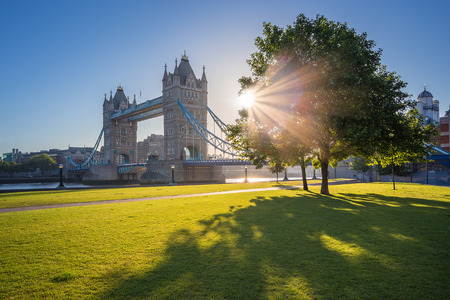 Sunrise at Tower Bridge with tree and green grass, London, UKの写真素材