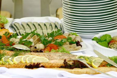 Fresh meal, plates and tableware waiting to start a party