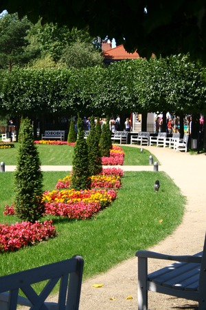 View at part of a five star hotel's park with flowers and bushesの写真素材
