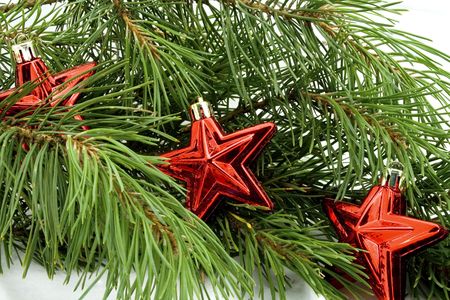 Three red stars in a green pine needlesの写真素材