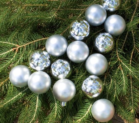Lot of silver and matt balls lying on a spruce's branchの写真素材