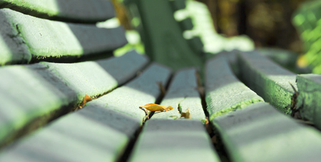Yellow autumn leaf on a Park bench.の写真素材