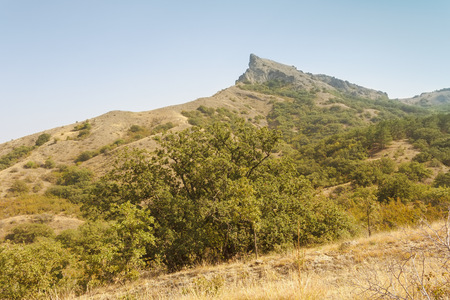 Trees and shrubs in a mountainous area.の写真素材