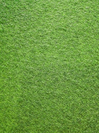 Close up on artificial grass carpetの素材
