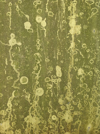 Eroded paint textureの素材