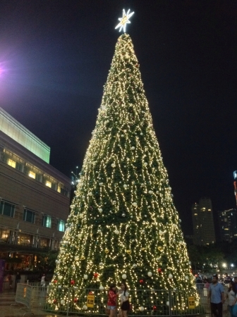 Giant Christmas tree outdoorsの素材