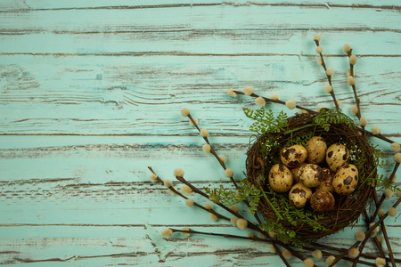 Quail eggs easterly Quail eggs easterly