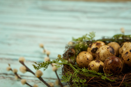 Quail eggs Easter Quail eggs Easter