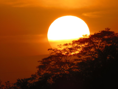 Sunset of colombian beach, sun whit treeの写真素材