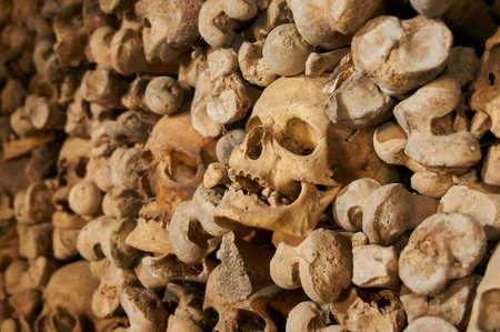 Skulls and bones in ossuaryの写真素材