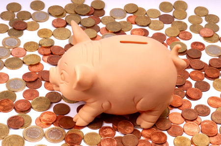 Pink piggy bank on euro coinsの写真素材