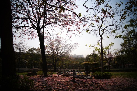 Lonely playgroundの写真素材