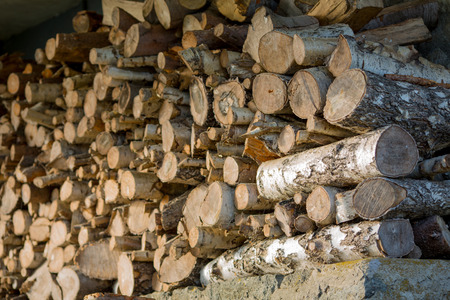 Firewood stack outdoor