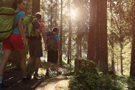 Three man and woman walking along hiking trail path in forest woods during sunny day. Group of friends people summer adventure journey in mountain nature outdoors. Travel exploring Alps, Dolomitesの写真素材