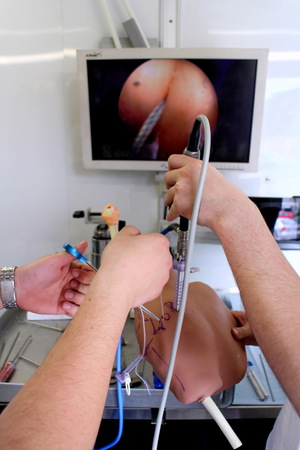 Surgical exercises on an artificial shoulderの写真素材