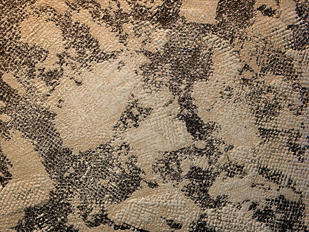 Black cream textured backgroundsの写真素材