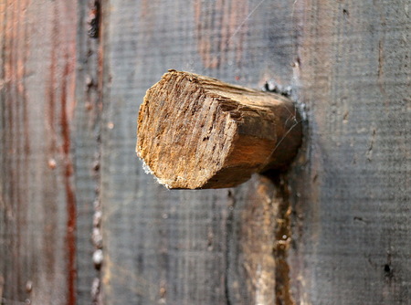 Wooden bucketの写真素材