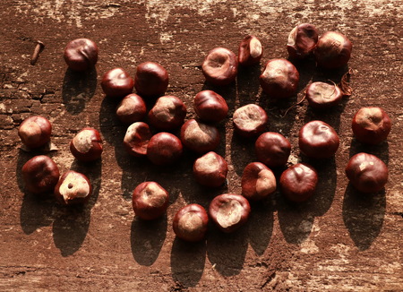 Raw organic brown chestnutsの写真素材