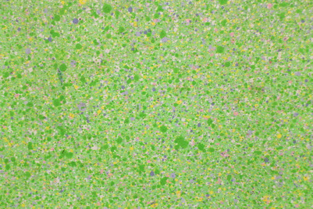 Artistic painting green,yellow and purple grain   on a light green backgroundの写真素材
