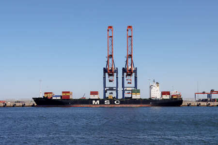 MSC SHANNON at the Maasvlakte harbor in the Port of Rotterdam in Netherlands