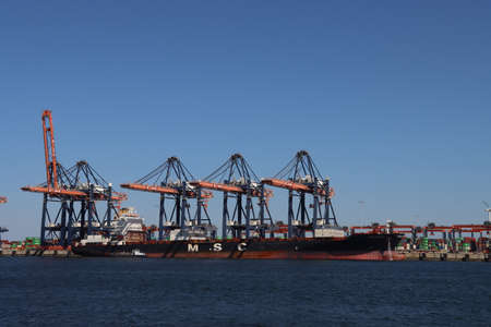 MSC KATYA R. at the Maasvlakte harbor in the Port of Rotterdam in Netherlands