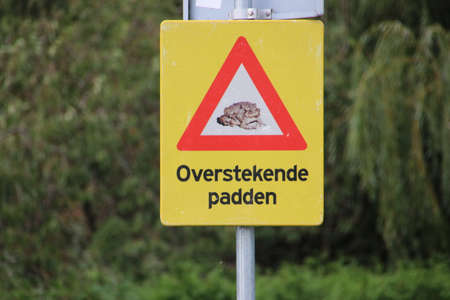 Yellow warning sign for crossing toads in the mating season in the Dutch language in Zoeterwoudeの写真素材