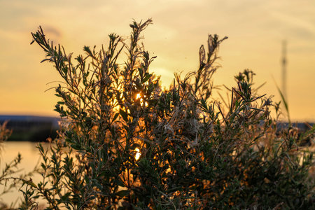Sunset over river Rotte at the Tweemanspolder in Zevenhuizen in the Netherlands