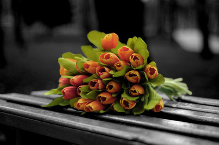 Flowers on the bench in the parkの写真素材