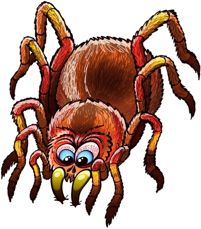 Big and determined tarantula with urticating hairs, long legs and bulging blue eyes while stopping its walk and attacking by furiously sinking its sharp fangs deeply into a surfaceのイラスト素材
