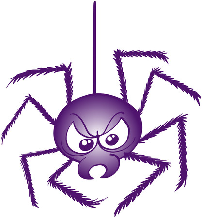 Terrific purple spider while going down thanks to its thread, showing a very bad mood and preparing to attackのイラスト素材