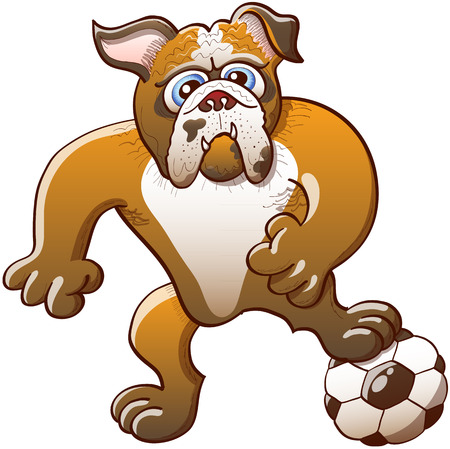 Brave bulldog stepping on a soccer ball, clenching its fists and staring at the objective while preparing a kickのイラスト素材