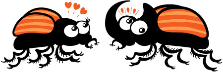 Adorable couple of stripped rhinoceros beetles showing a female completely in love while staring at the horn of the male. The male looks completely surprised and embarrassedのイラスト素材