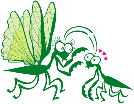 Funny couple of praying mantises showing a big female while hypnotizing its mate by attracting its attention to its spiny front legs. The tiny male looks fascinated and shows big eyes and red heartsのイラスト素材