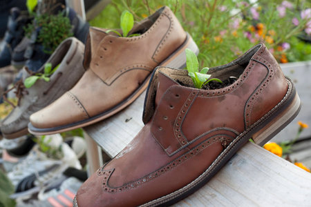Community garden Tempelhof Berlin - growing plants in the old shoesの写真素材