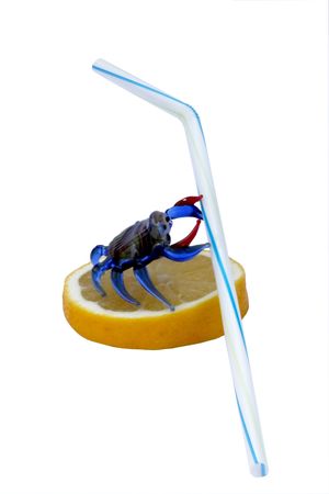 For summer, the coolnessの写真素材