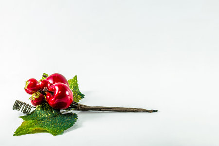 Christmas holly with red berries and green leaves horizontal at the bottom left corner over a white background. Copy space for text.の写真素材
