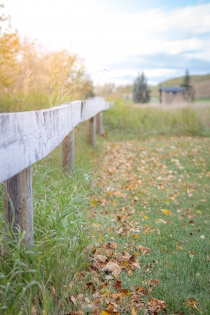 Wooden fence on golf courseの写真素材
