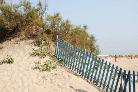 Typical beach scene: sand dune with bushes, plants and fenceの写真素材