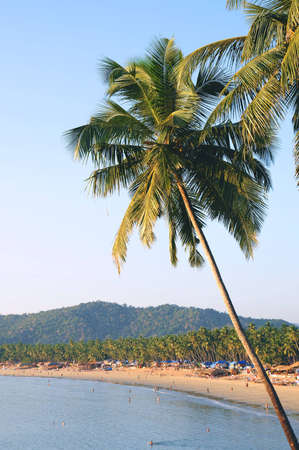 Palm trees with beautiful seascape on background with mountains, bay, sand beach and shacks.の写真素材