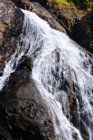 Dudhsagar waterfall in jungle forest in India (GOA, Karnataka)の写真素材