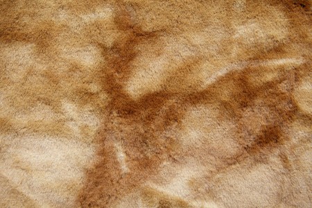 fur texture. Background 