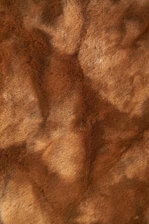 fur texture. Background 