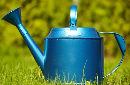 blue watering can in gardenの写真素材