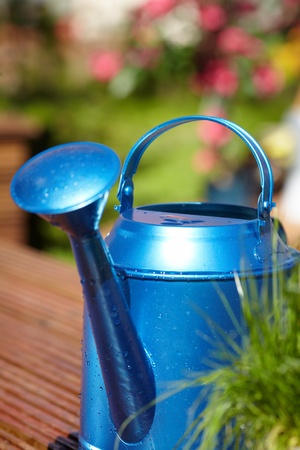 Gardening tools in garden backgroundの写真素材