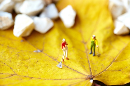 Miniature figurine  using a rake to clean up of the fallen leaves の写真素材
